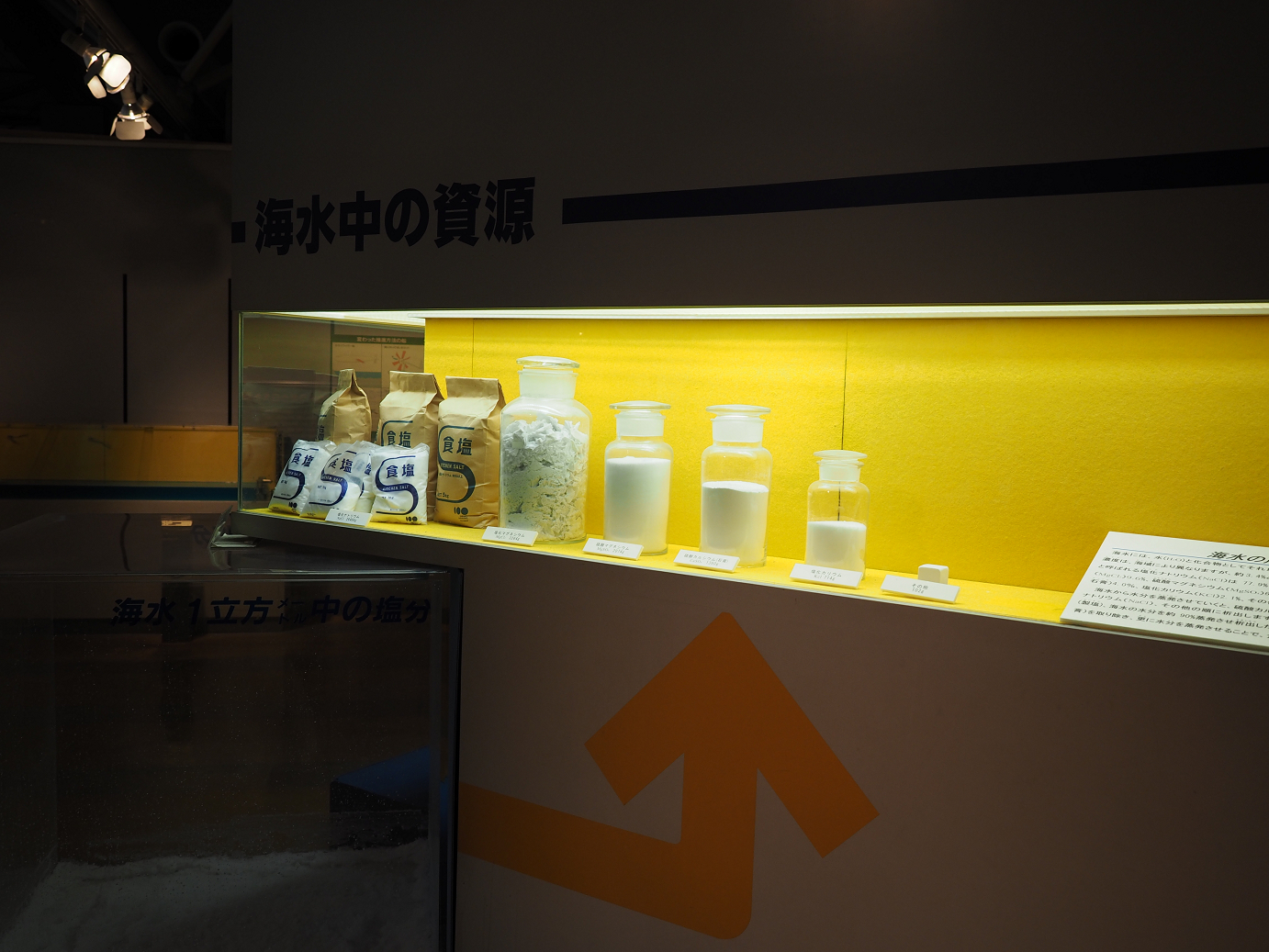 P8090369.jpg
