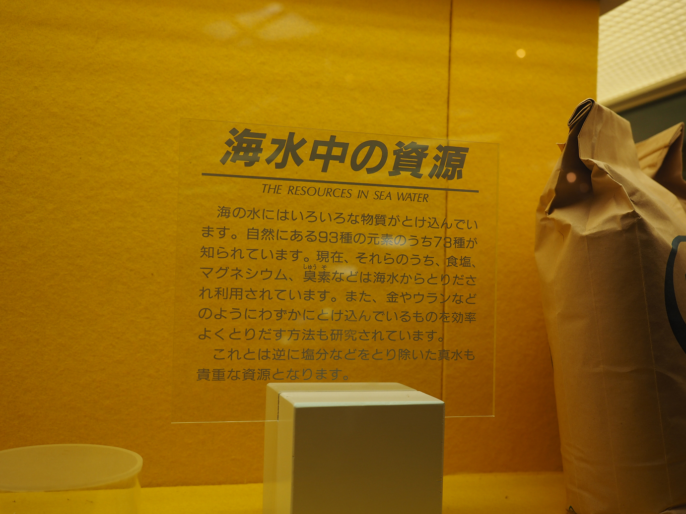 P8090380.jpg