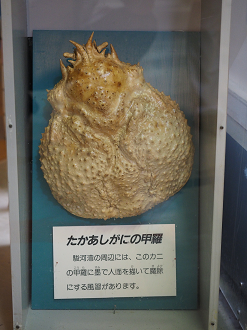 P8090398_thumb.png