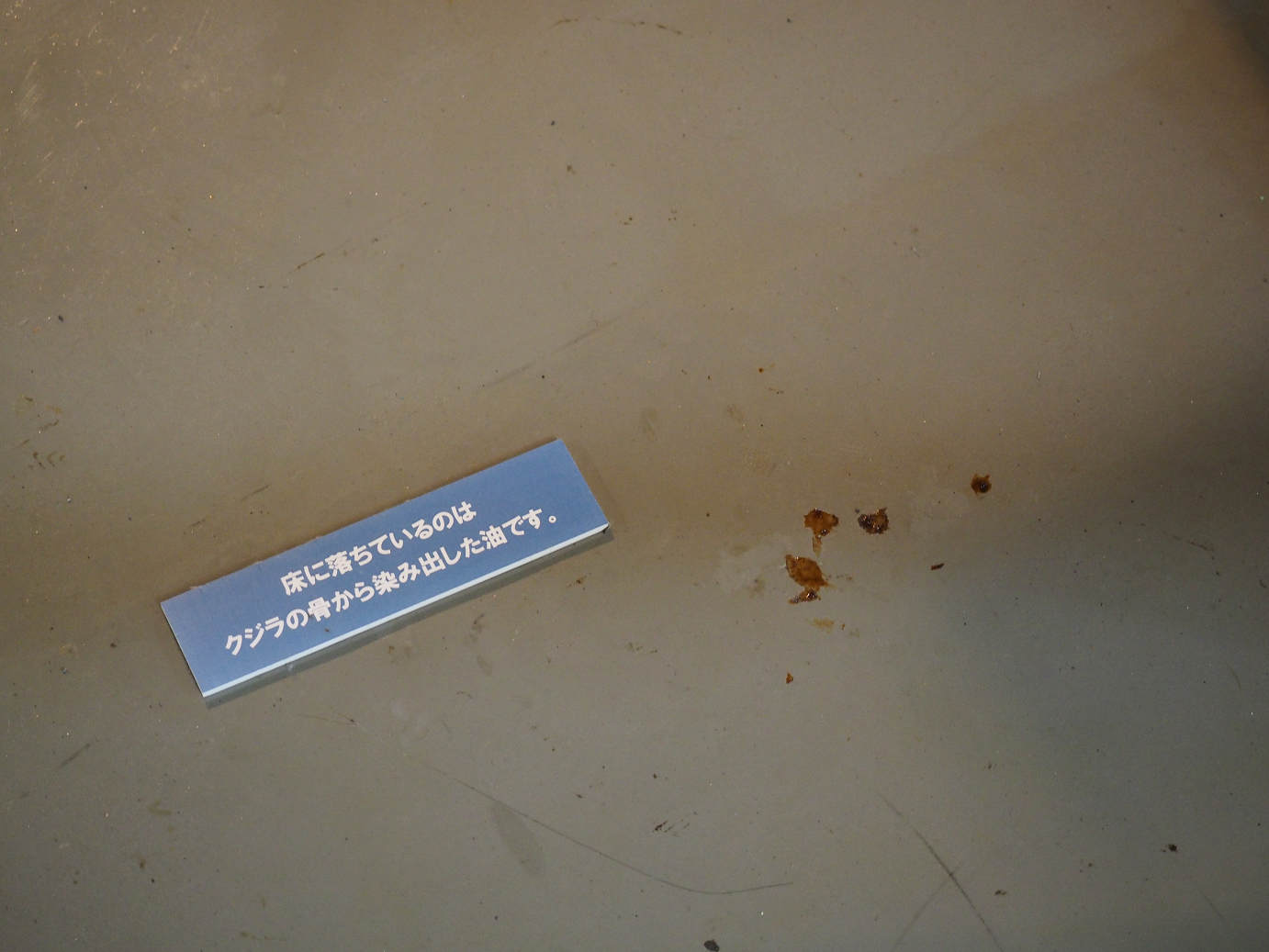 P8090416.jpg