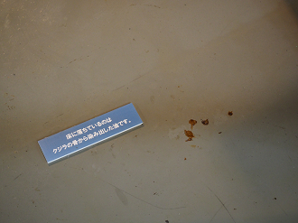 P8090416_thumb.png
