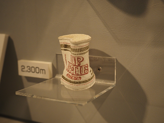 P8090449_thumb.png