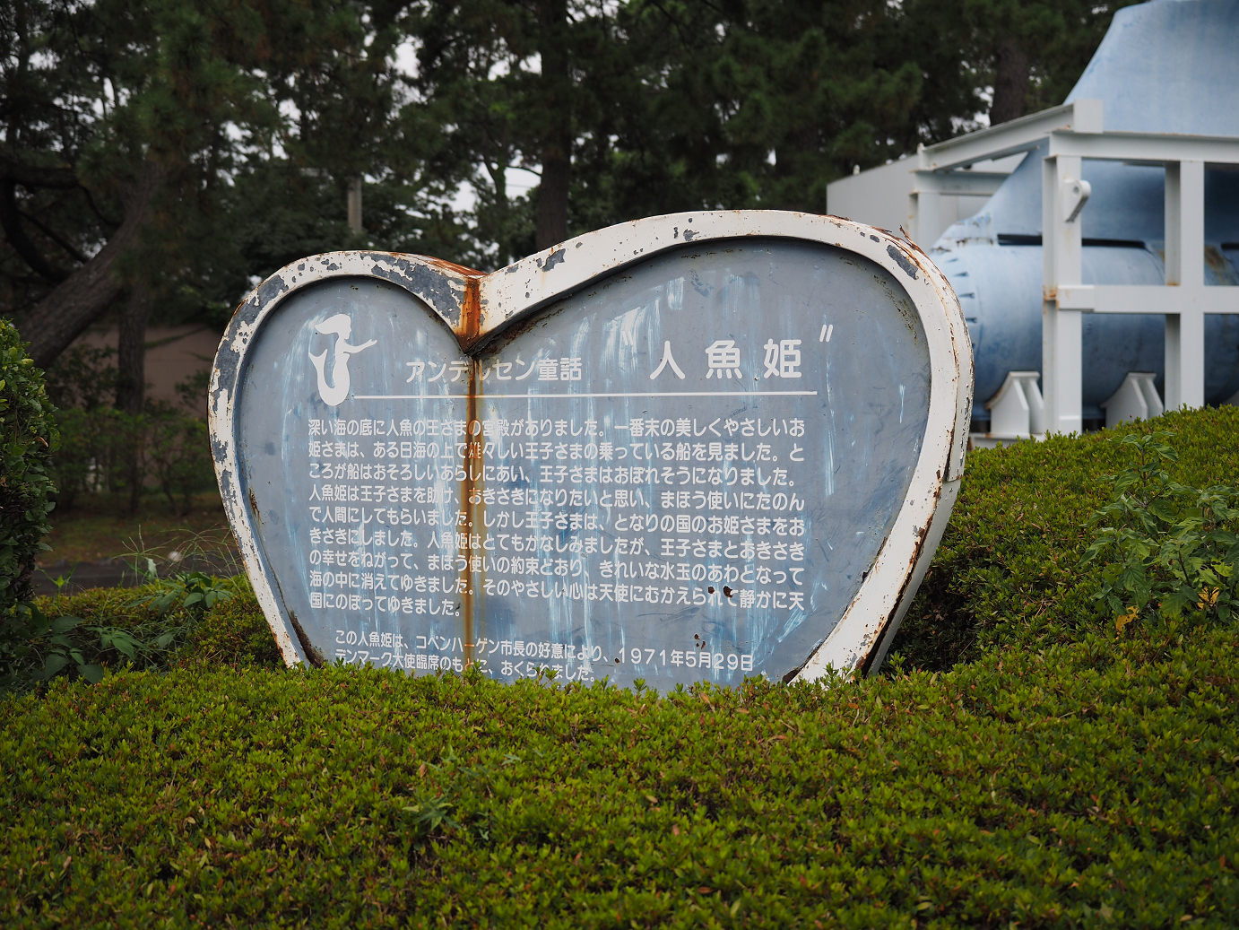 P8090472.jpg