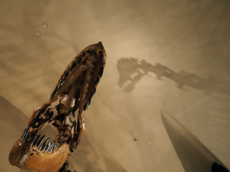 P8090538_thumb.png