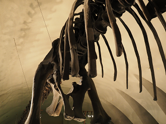 P8090556_thumb.png