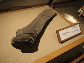 P8090579_thumb.png