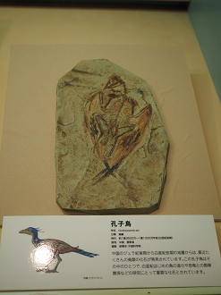 P8090592_thumb.png