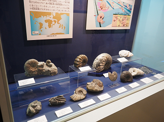 P8090598_thumb.png