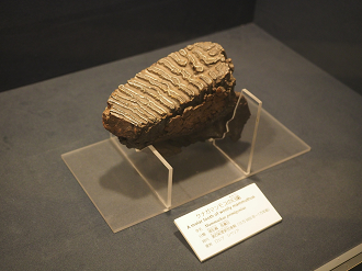P8090650_thumb.png
