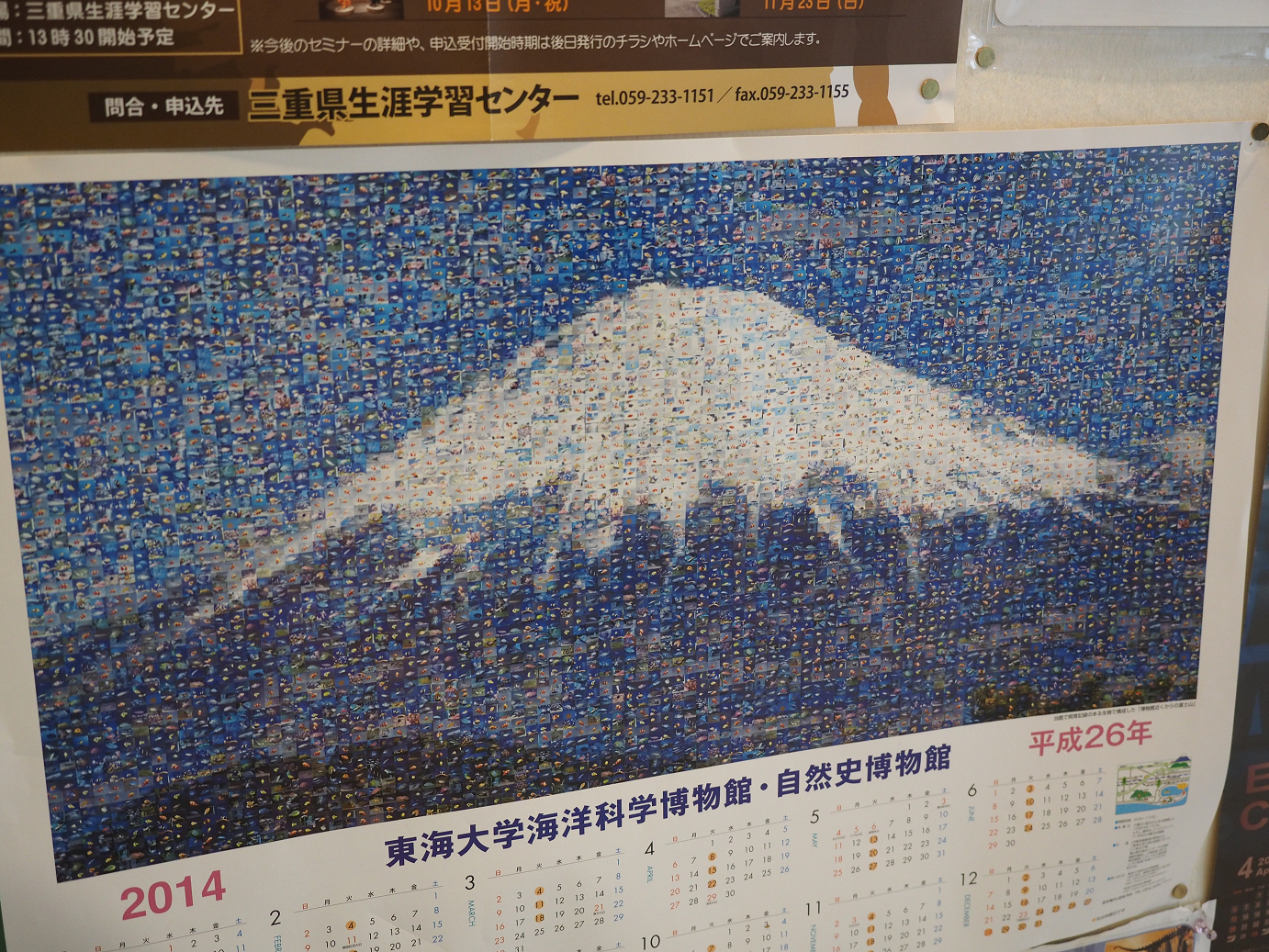 P8090677.jpg