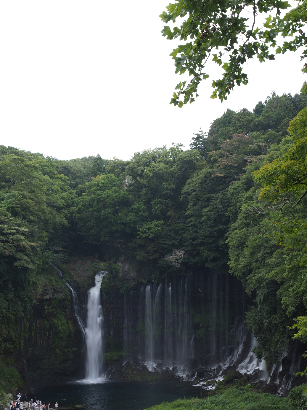 P8090710.jpg