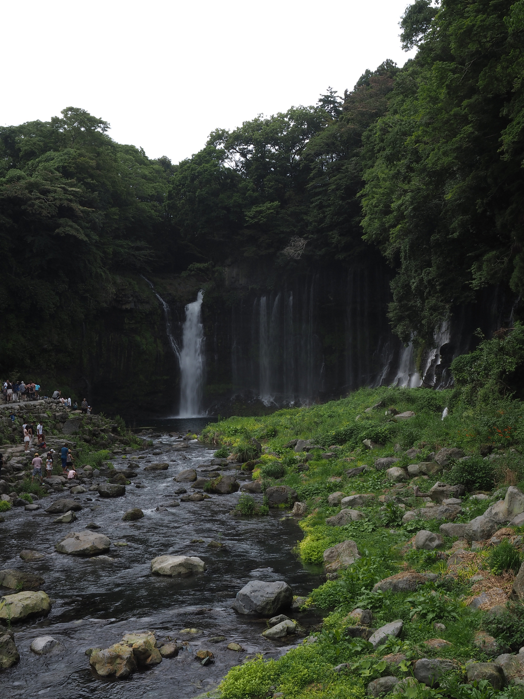 P8090731.jpg