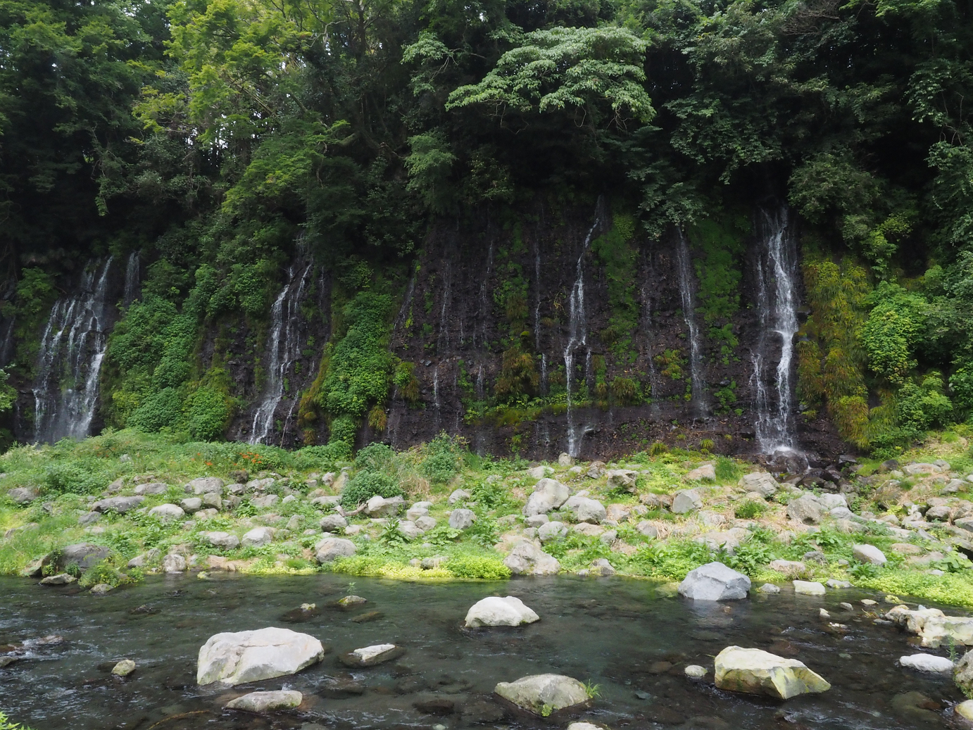 P8090741.jpg