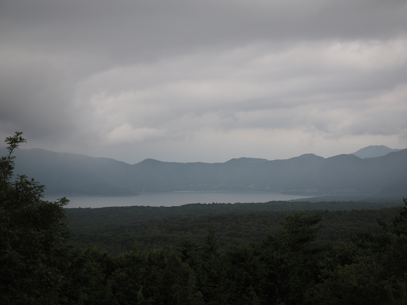 P8090814.jpg