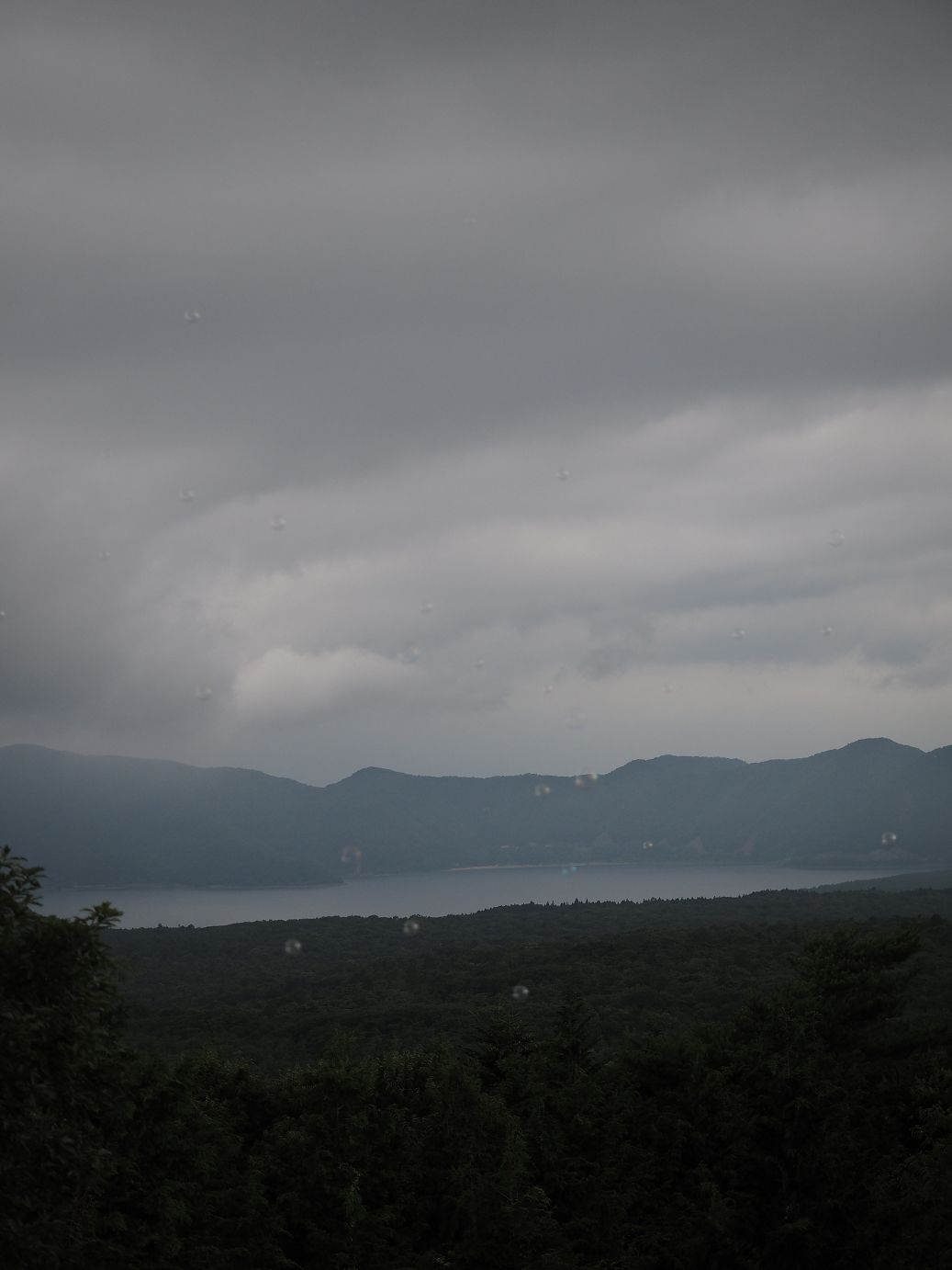 P8090819.jpg