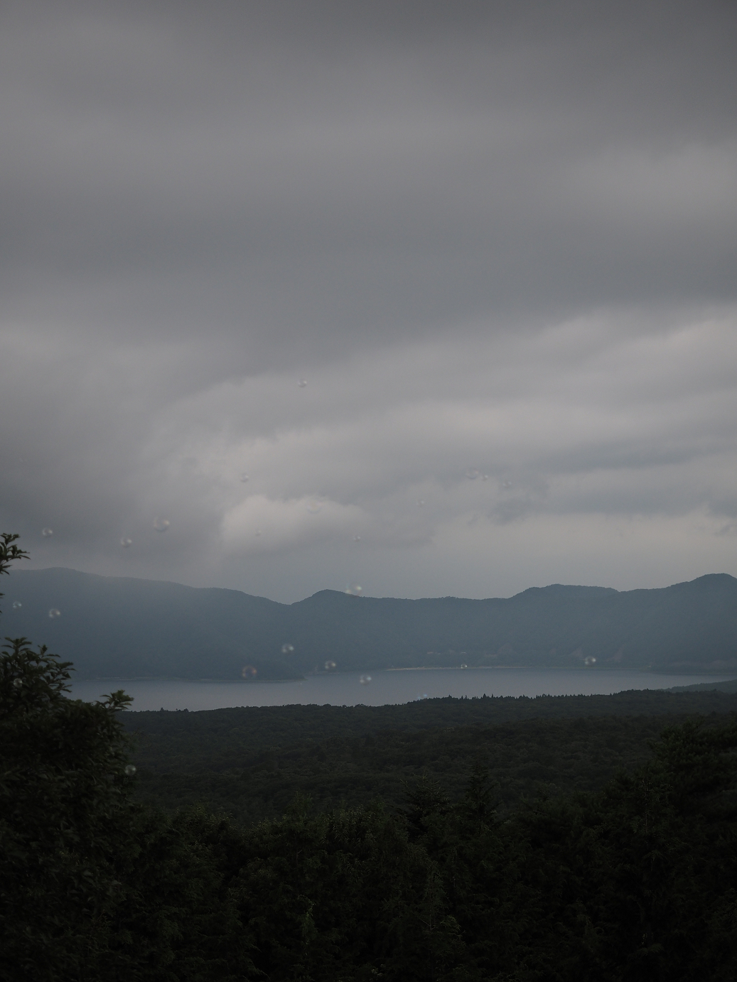 P8090820.jpg