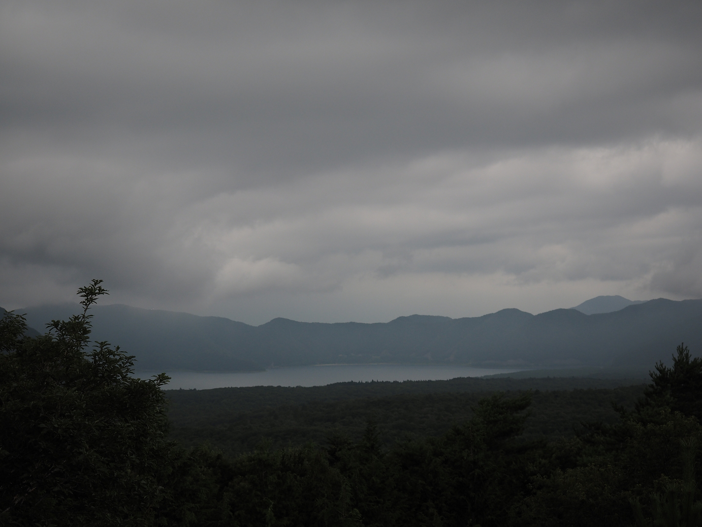 P8090822.jpg