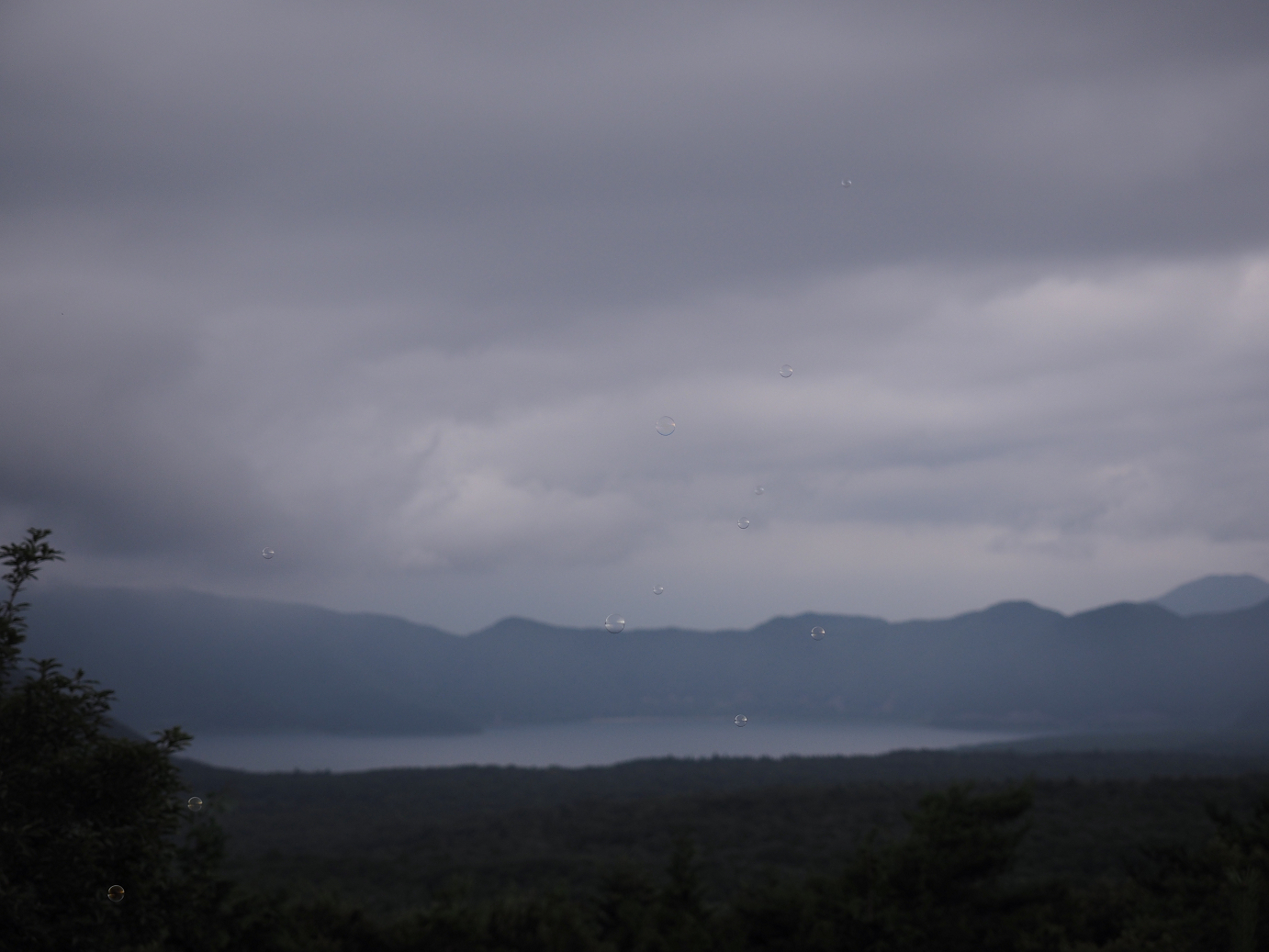 P8090827.jpg