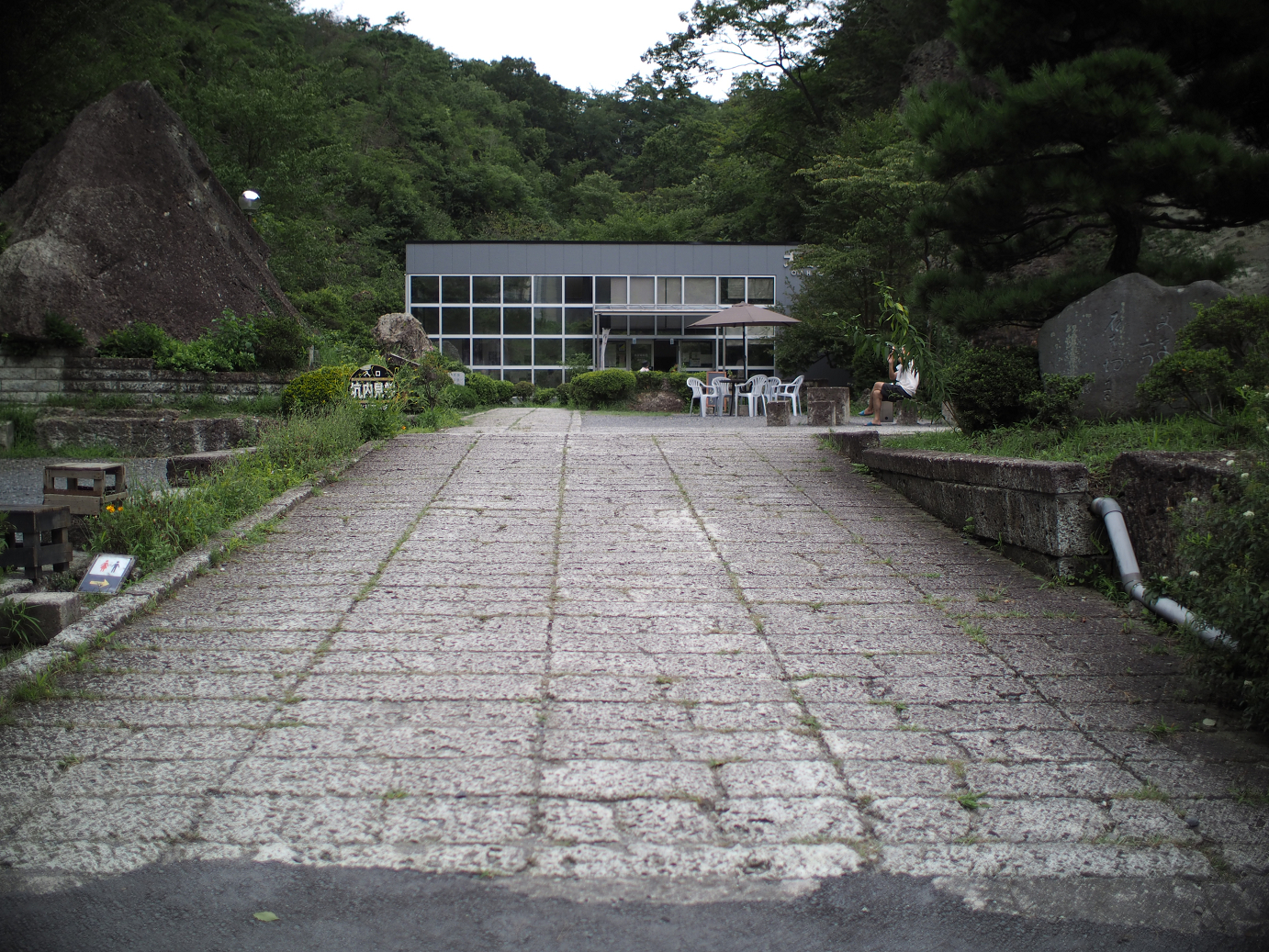 P8230086.jpg
