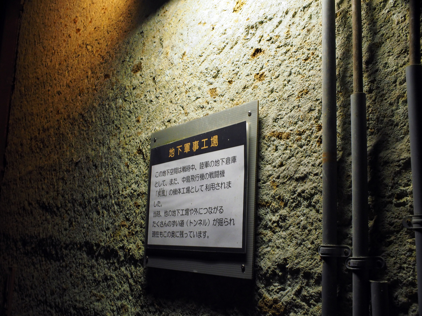 P8230106.jpg