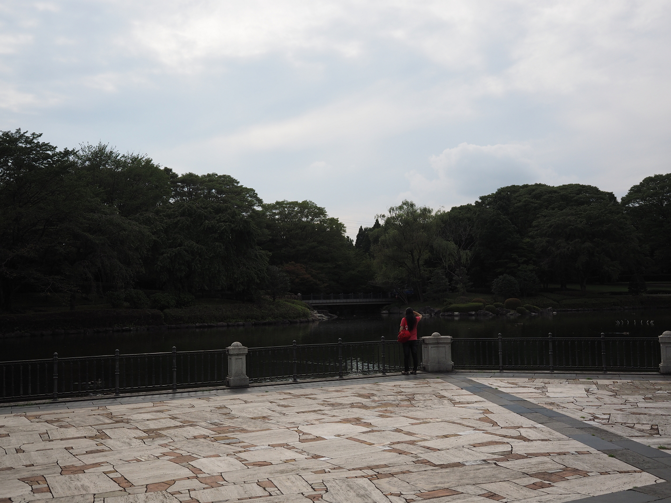 P8230263.jpg
