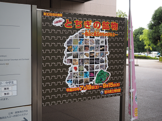 P8230299_thumb.png
