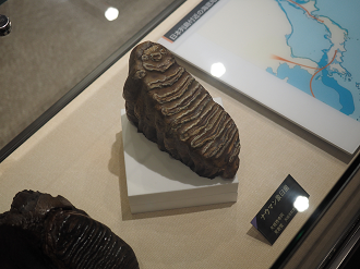 P8230365_thumb.png