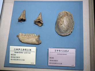 P8230367_thumb.png