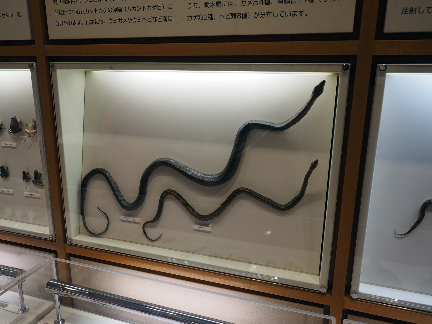 P8230417.jpg