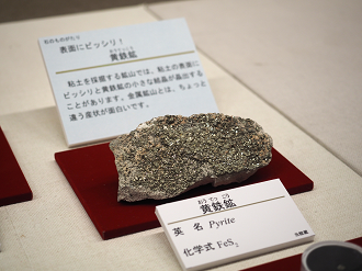 P8230478_thumb.png