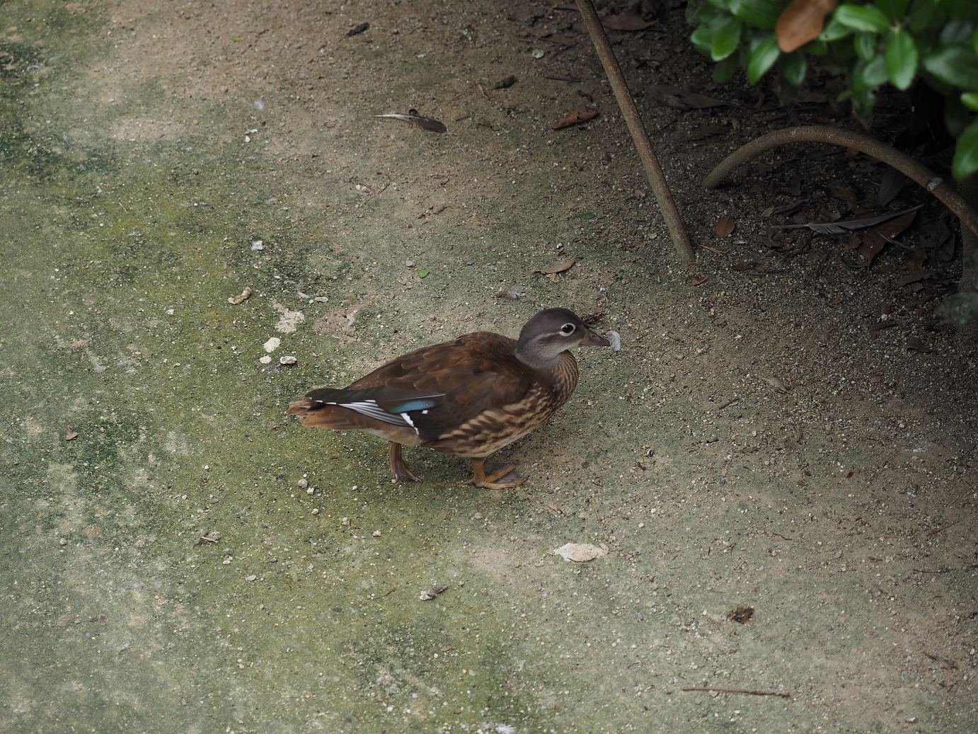 P8240541.jpg