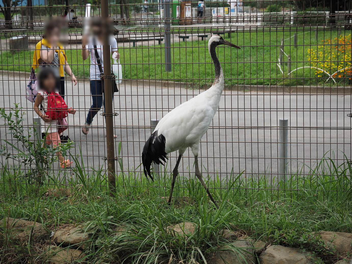 P8240551.jpg
