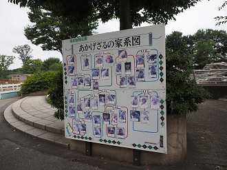 P8240573_thumb.png