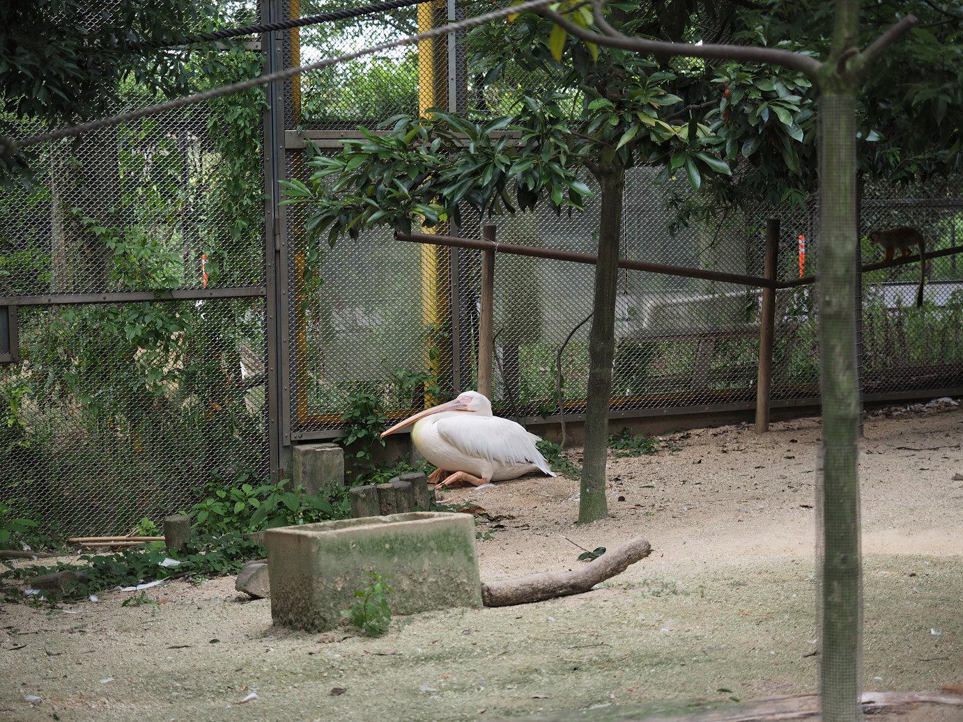 P8240673.jpg