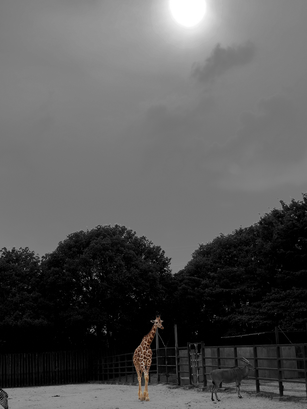 P8240817-01.jpg