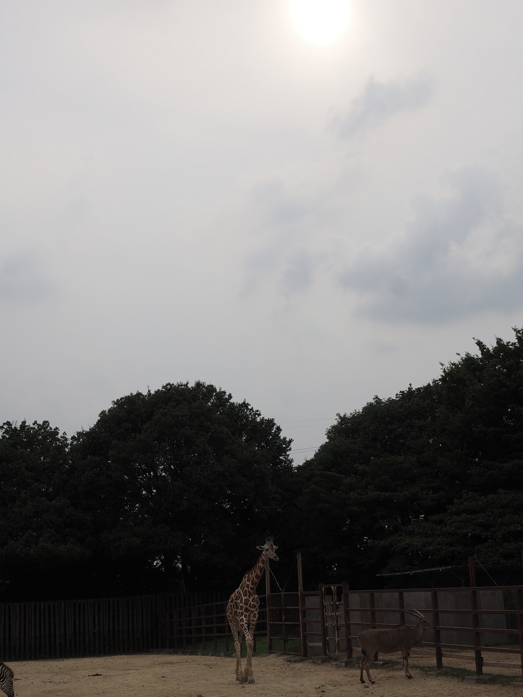 P8240817.jpg