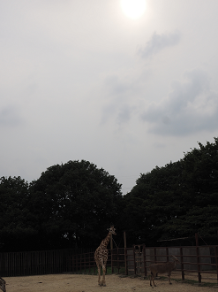 P8240817_thumb.png