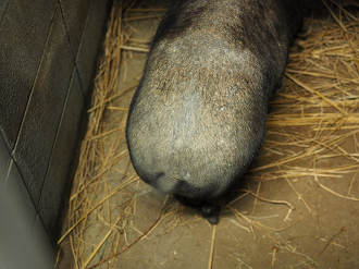 P8240886_thumb.png