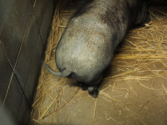 P8240888_thumb.png