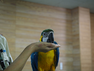 P8240913_thumb.png