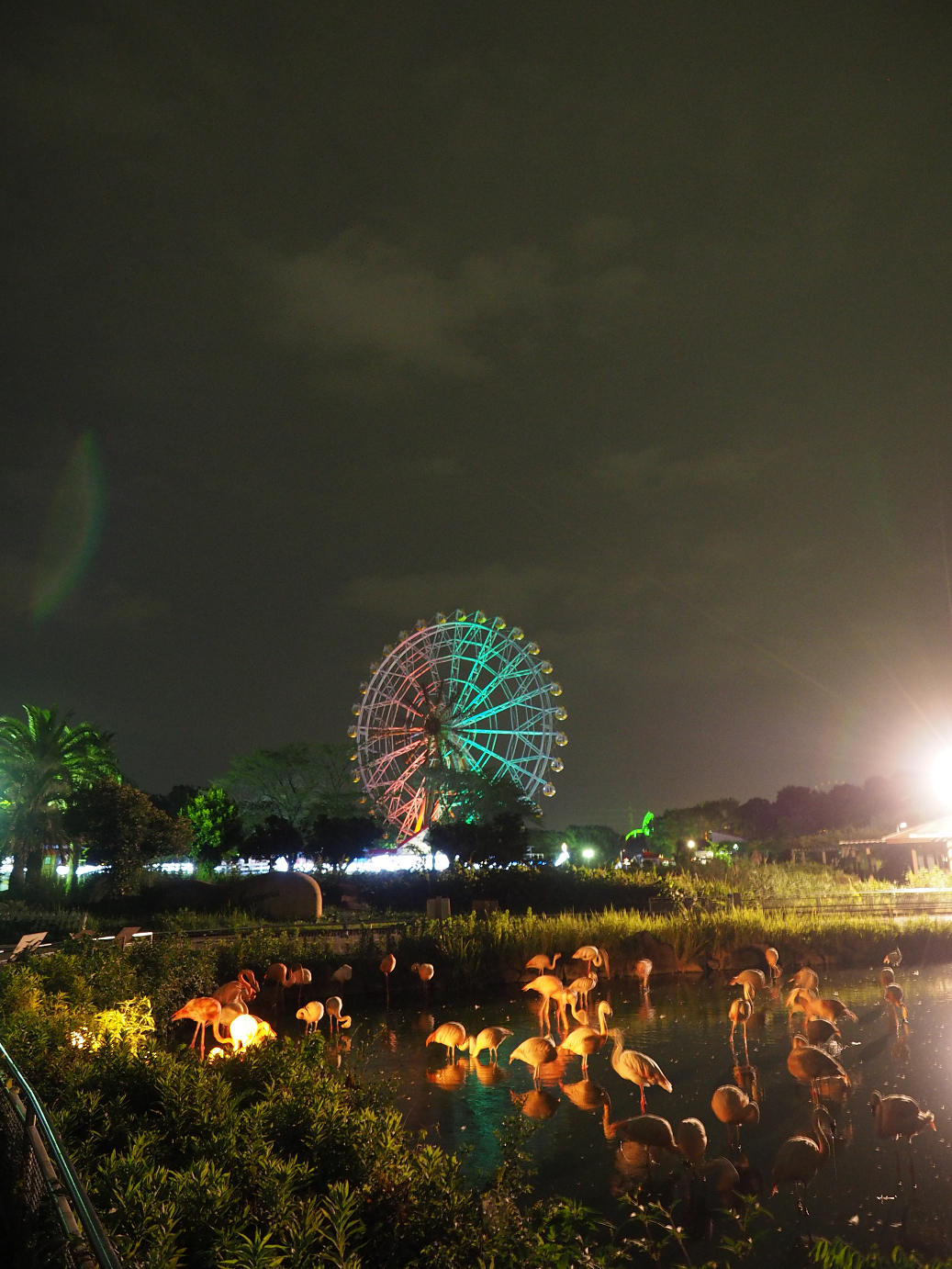 P8241116.jpg