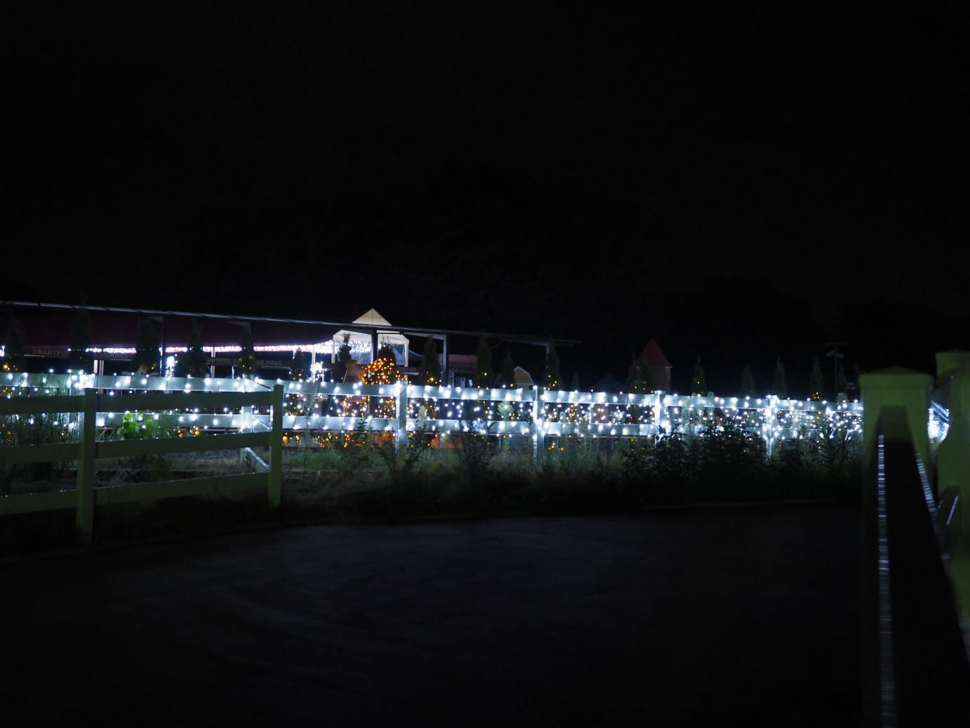 P8241149.jpg