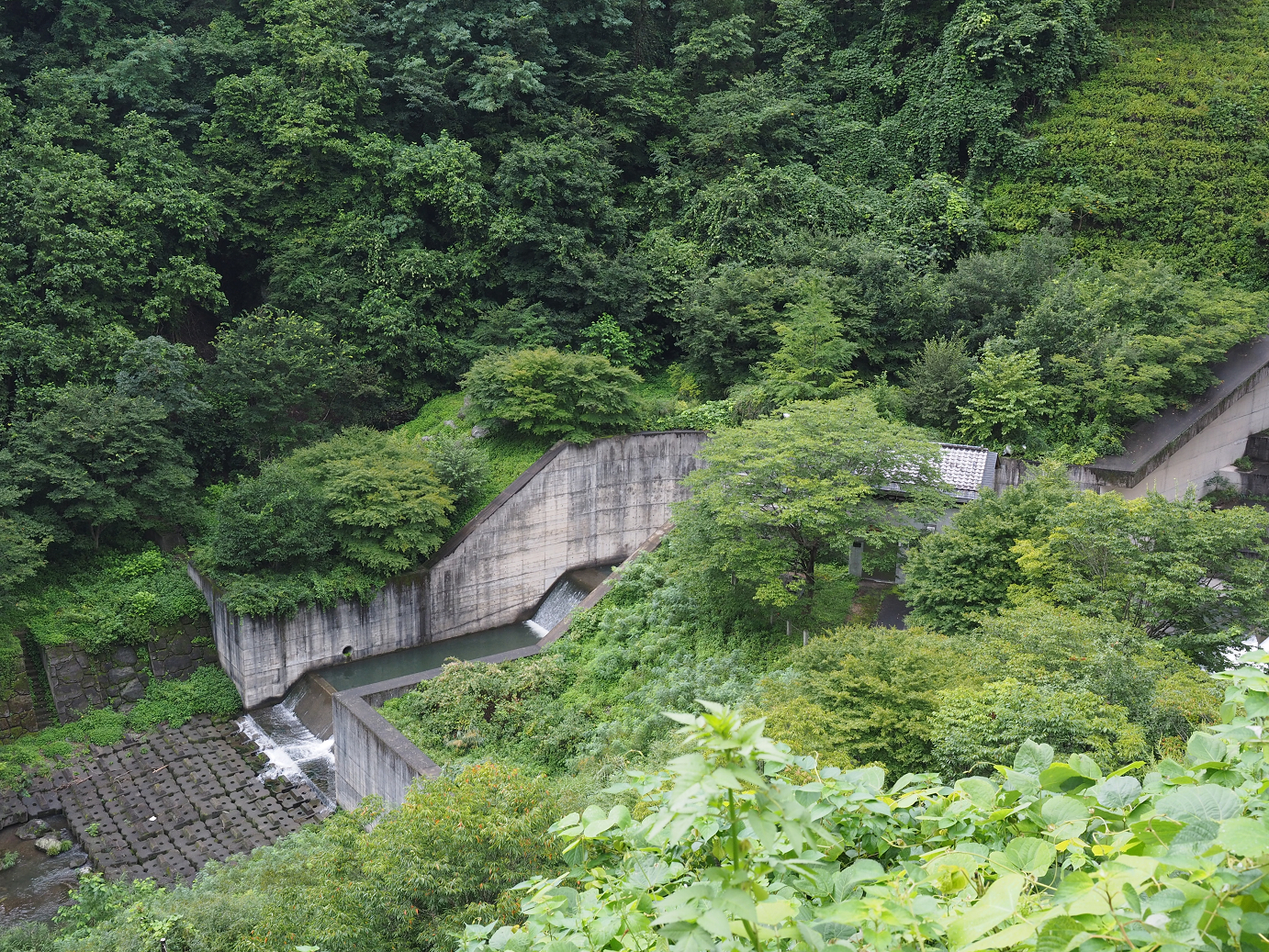 P8250016.jpg