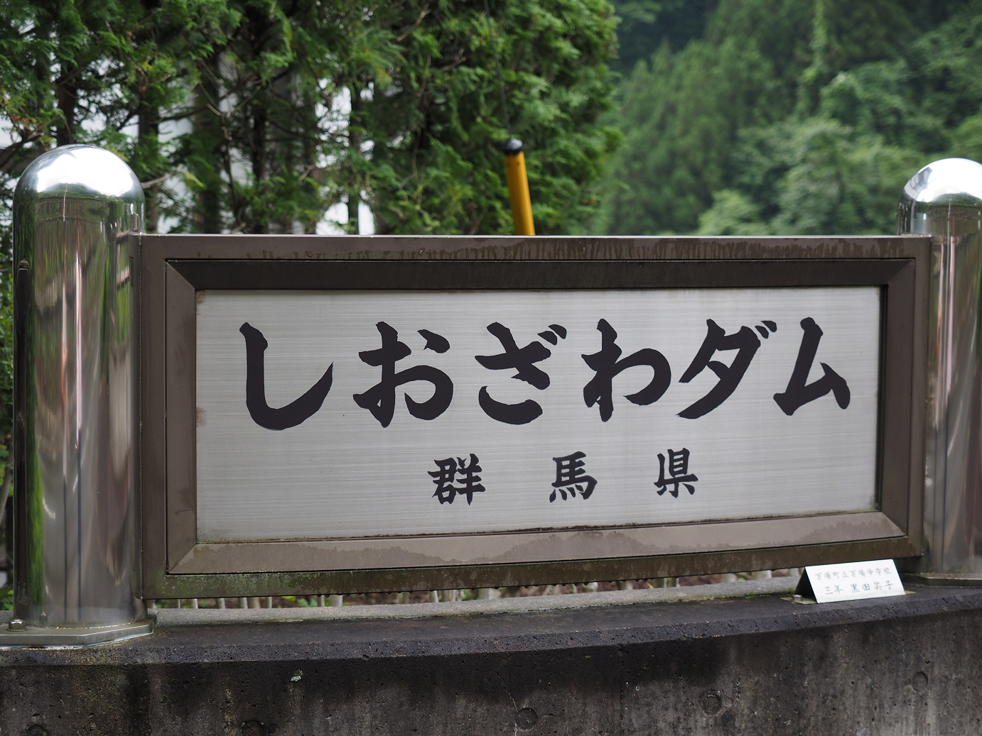 P8250018.jpg