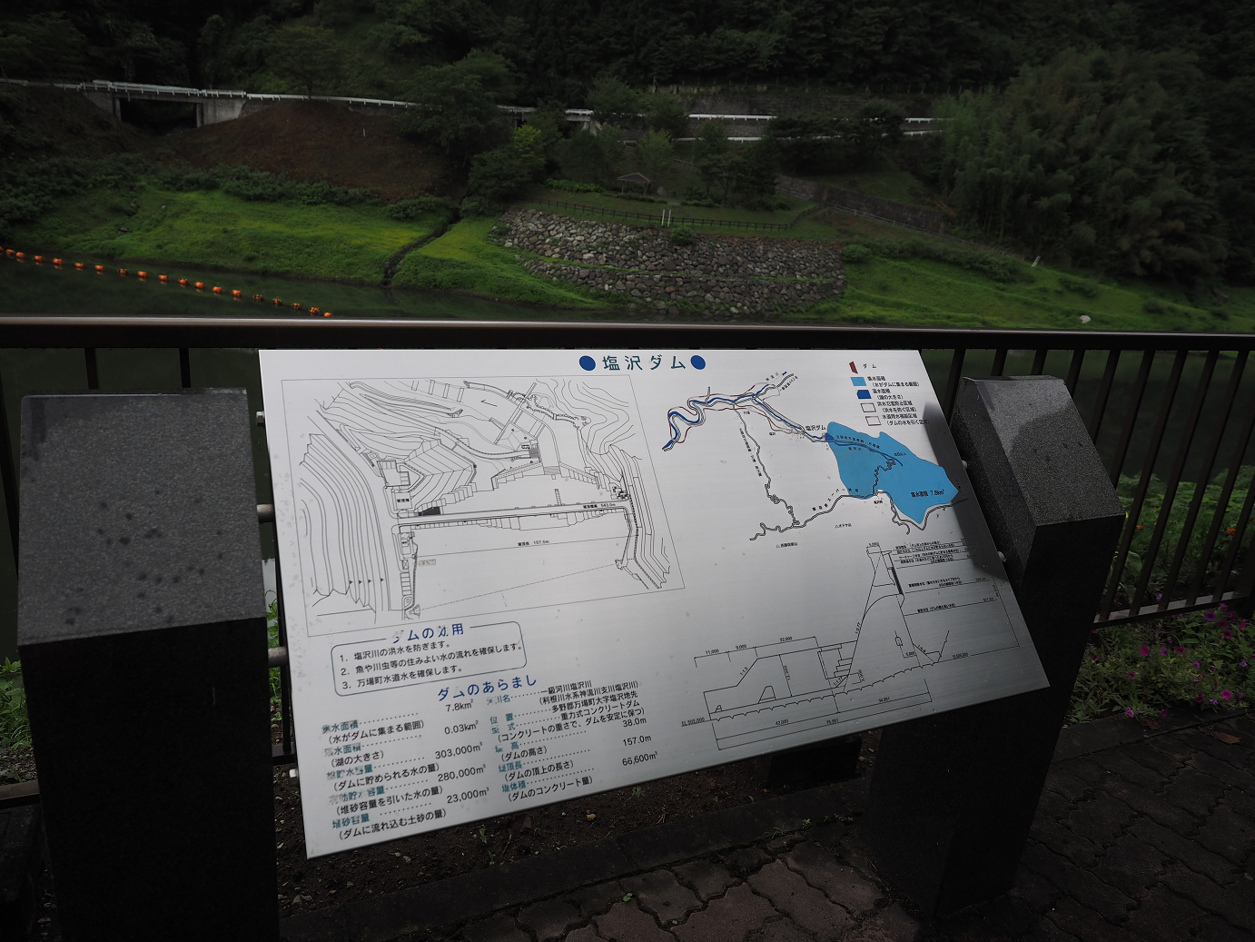 P8250030.jpg