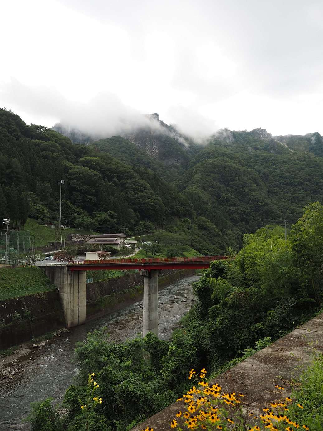 P8250039.jpg