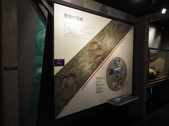 P8250054_thumb.png