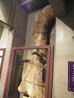 P8250089_thumb.png