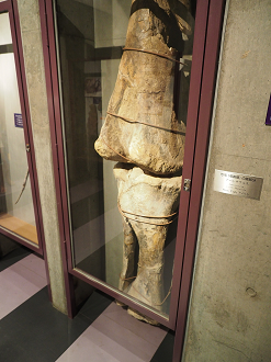 P8250090_thumb.png