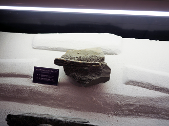 P8250095_thumb.png